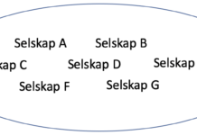 4 av 10 investorer har ikke en aksjeportefølje Aksjeportefølje