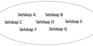 4 av 10 investorer har ikke en aksjeportefølje Aksjeportefølje