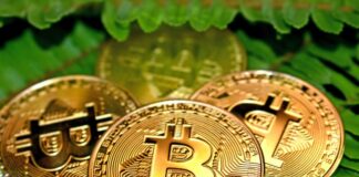 Kryptovaluta stadig mer populært på casinosider bitcoin