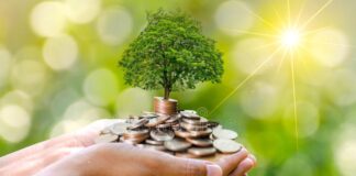 Kapitalverdimodellen (CAPM) inntjeningsbasert-verdsettelse