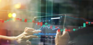 Er du en investor eller en trader? Investor eller trader