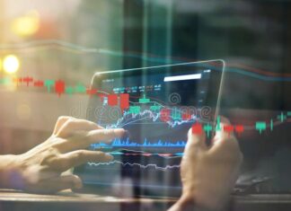 Er du en investor eller en trader? Investor eller trader