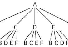Opsjon kombinasjoner opsjons kombinasjoner