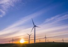 Aksjeportefølje: – Studer megatrendene for å finne fremtidens sektorer megatrender