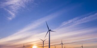 Aksjeportefølje: – Studer megatrendene for å finne fremtidens sektorer megatrender