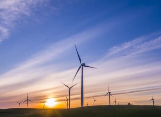 Aksjeportefølje: – Studer megatrendene for å finne fremtidens sektorer megatrender