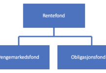 Rentefond (pengemarkedsfond/obligasjonsfond) Rentefond