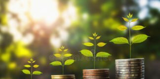 Arbitrasjeprisingsteorien (APT) ROI