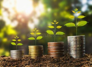 Arbitrasjeprisingsteorien (APT) ROI